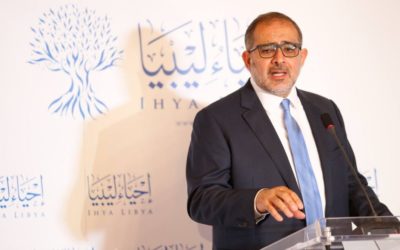 Aref Al-Nayed: The Egyptian response to Libya’s Negative Wealth was Resounding