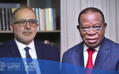 النايض ولوكويدو يبحثان دعم الاتحاد الأفريقي لانتخابات ديسمبر